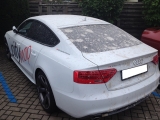 Trockeneisstrahlen-Audi-mit-Beton-entfernt-Kraftwagenzentrum-002.jpg
