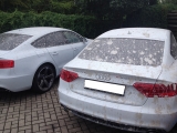 Trockeneisstrahlen-Audi-mit-Beton-entfernt-Kraftwagenzentrum.jpg